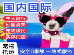 三家子空运地址国际宠物托运 【国