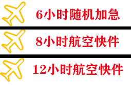 三家子空运地址快递公司,专业空运当天件